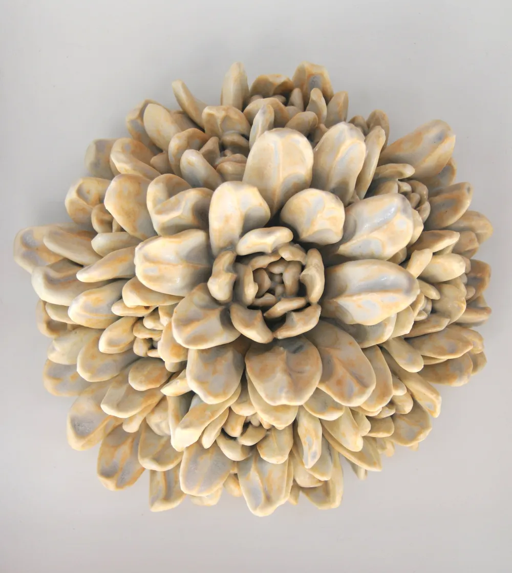 A round wall cluster of cream and pale-ochre marbled echeveria petals in a warm buttery glaze.