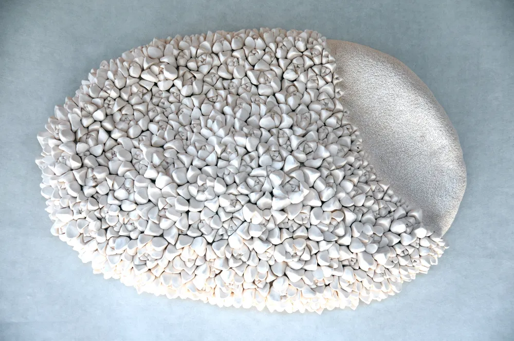An oval wall cluster of small white porcelain buds with a rough sand-textured crescent along its right edge, on a pale grey ground.