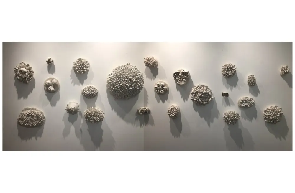 Life Interconnected installed across a gallery wall — some two dozen white porcelain clusters of coral- and echeveria-like rosettes at different scales, each casting its own soft shadow.