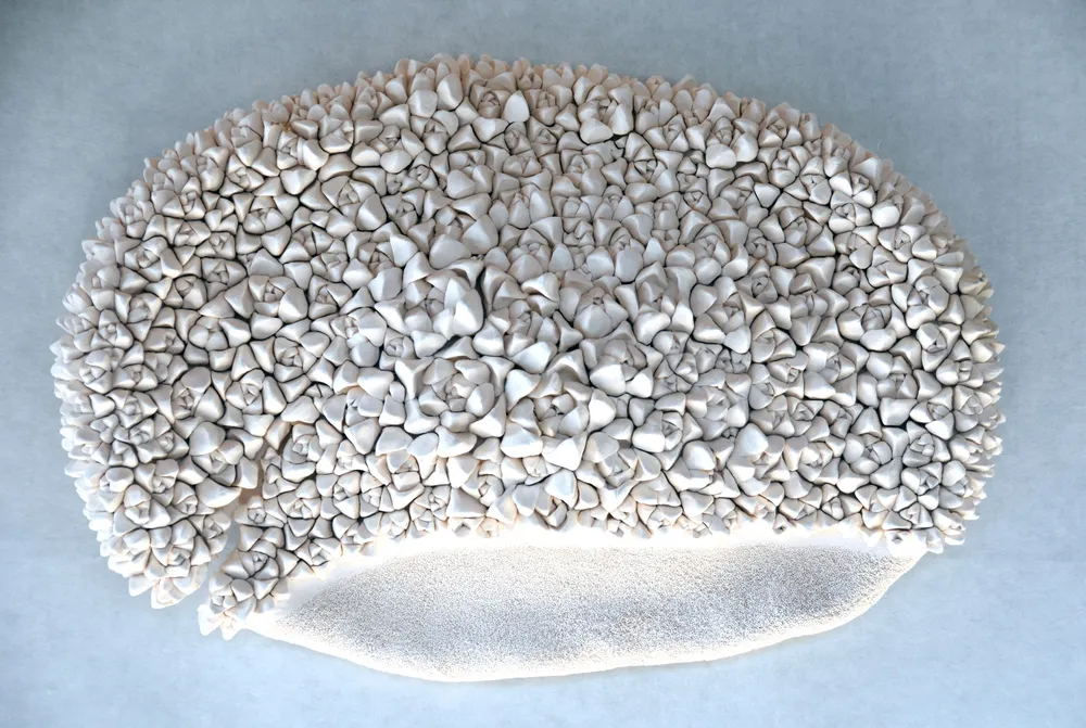 An oval wall cluster of white and blush porcelain rosettes with a smooth sanded pod-shaped element beneath it, on a pale blue-grey ground.