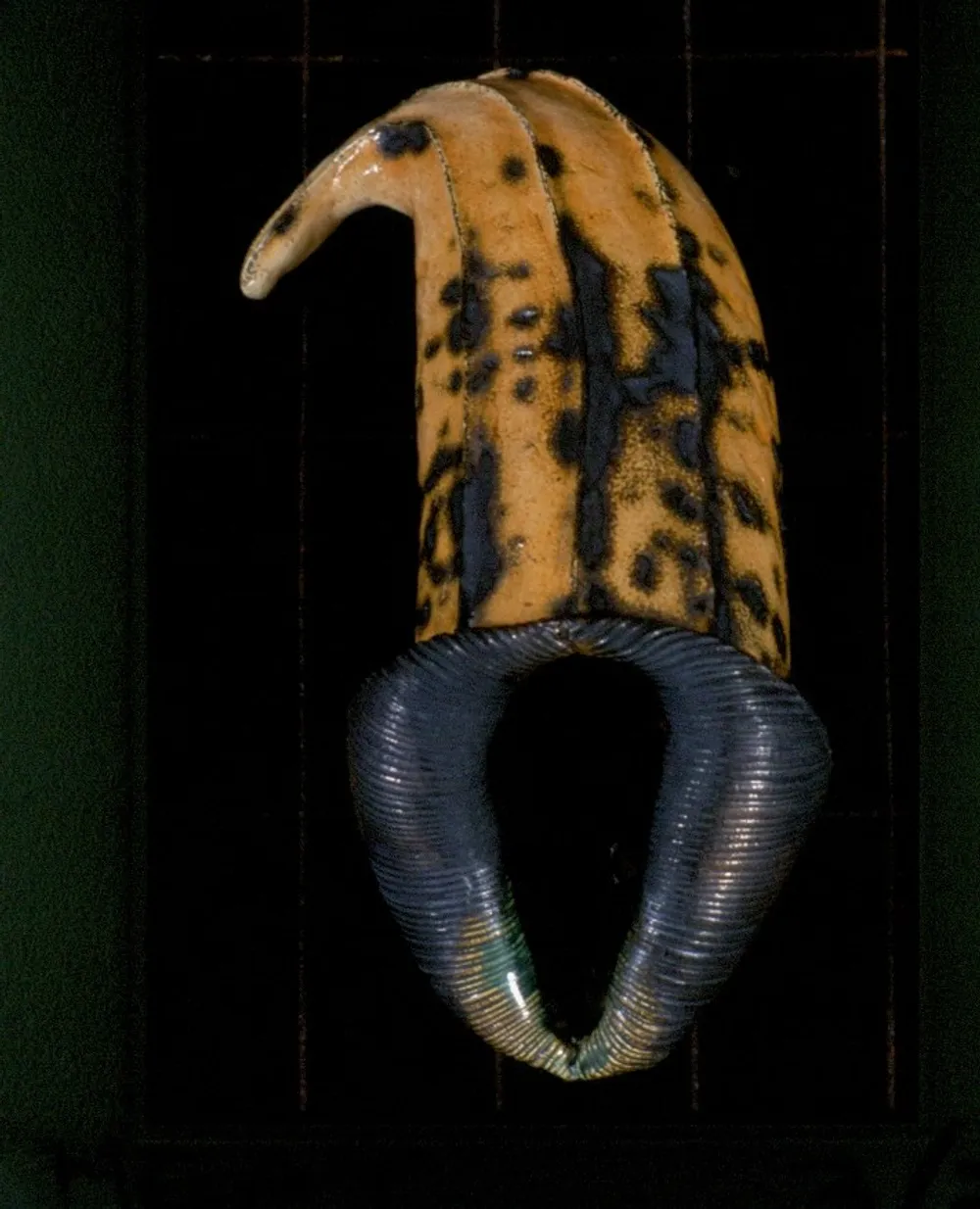 Offering artwork