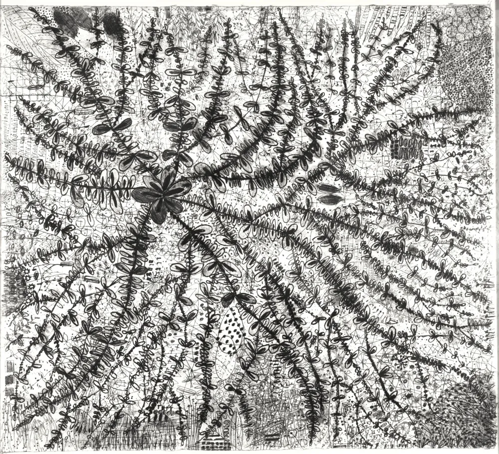 Meditations on Weed: Life Is Beautiful #1, a radial transfer drawing of spurge stems spreading from a dark six-petal flower left of centre across a finely worked ground.