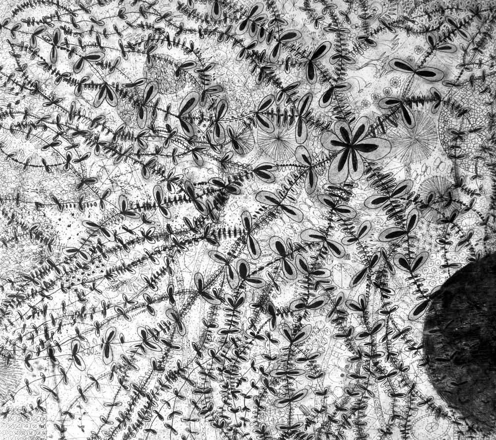 Meditations on Weed: Gratitude, a dense all-over field of spurge stems and small dark paired leaves in black ink, with a dark disc cut into the lower right corner.