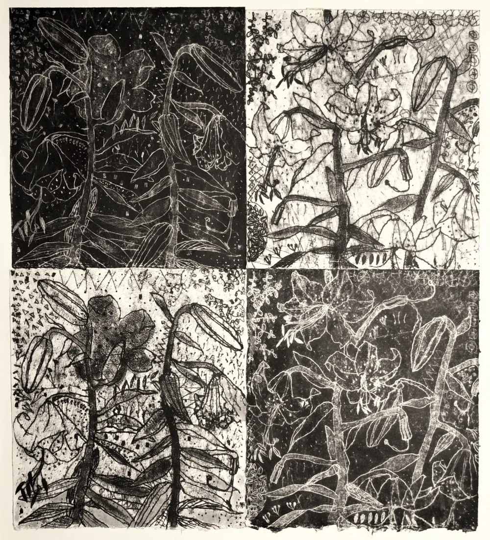 Night and Day, four plant prints in a two-by-two grid alternating positive and negative — light stems on black, black stems on white.