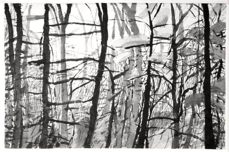 Drawing artwork