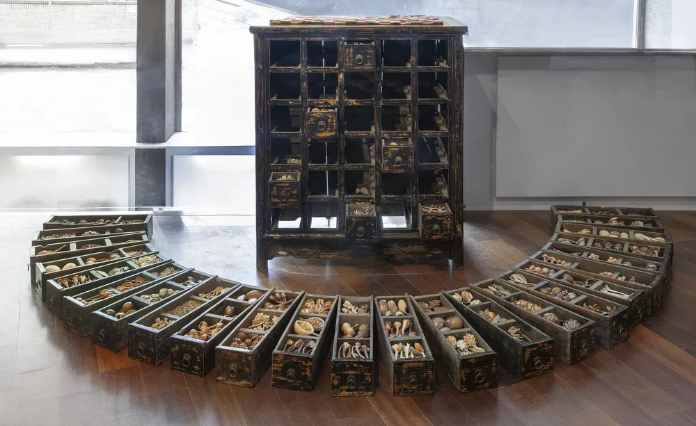 Each Seed a New Life installed on a gallery floor: an antique Chinese medicine chest with every drawer pulled out and laid in a wide arc, each drawer packed with porcelain and stoneware seeds, pods and shells.